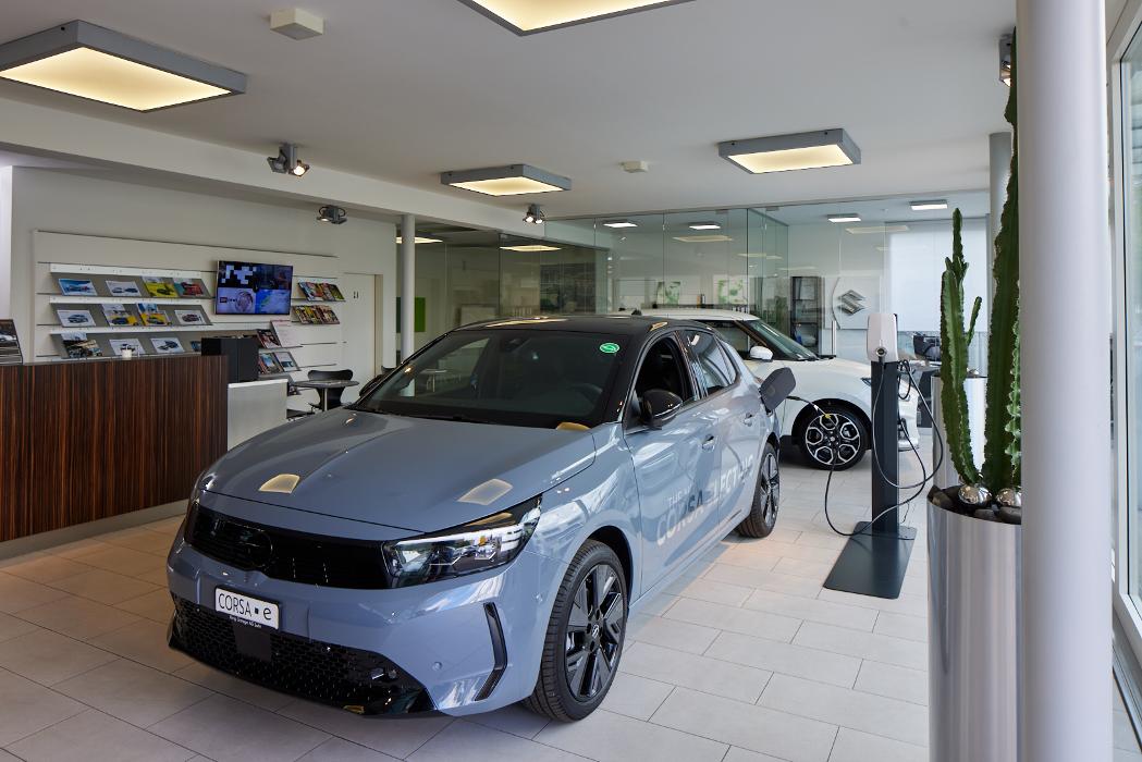 Ring Garage AG Suhr I Offizieller Opel und Suzuki Händler, Gewerbestrasse in Suhr