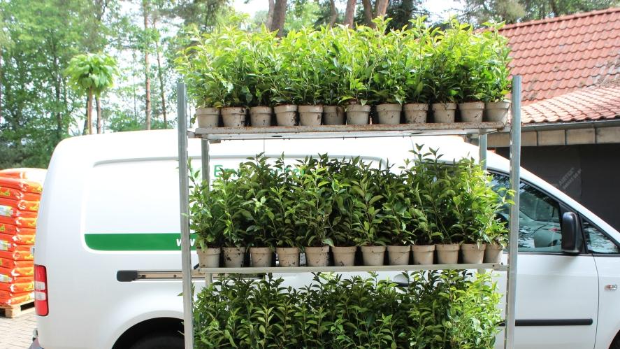 Bernhard Brand, Mühlengraben in Lingen (Ems)