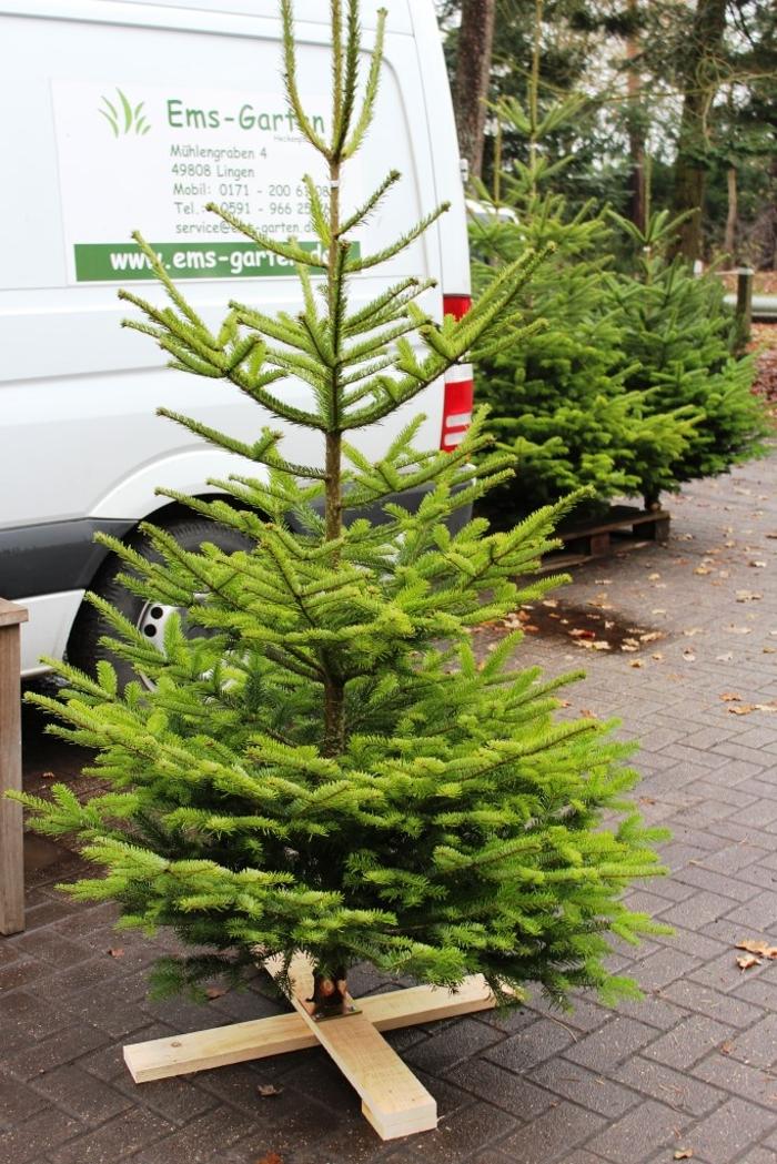 Bernhard Brand, Mühlengraben in Lingen (Ems)