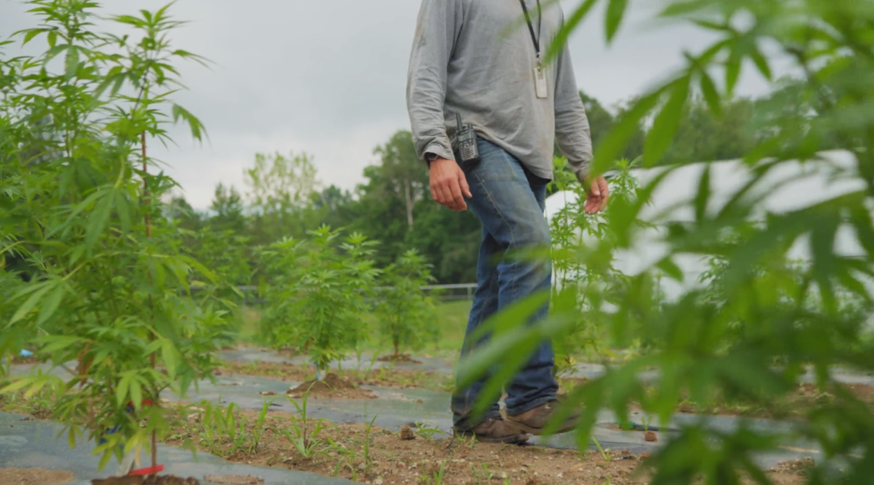 EOS Farms - Pittsfield, MA