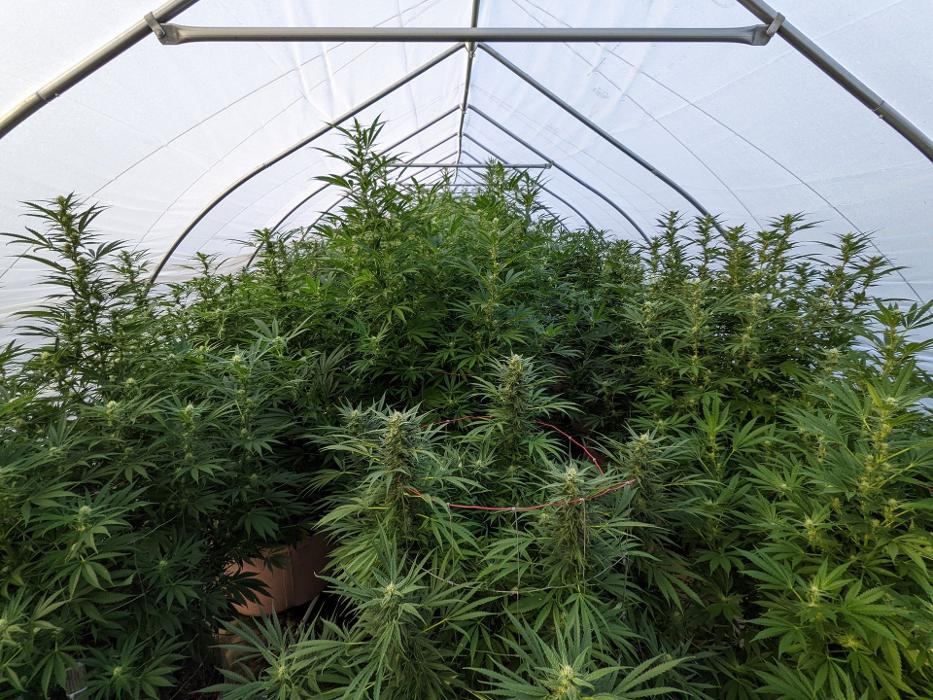 EOS Farms - Pittsfield, MA