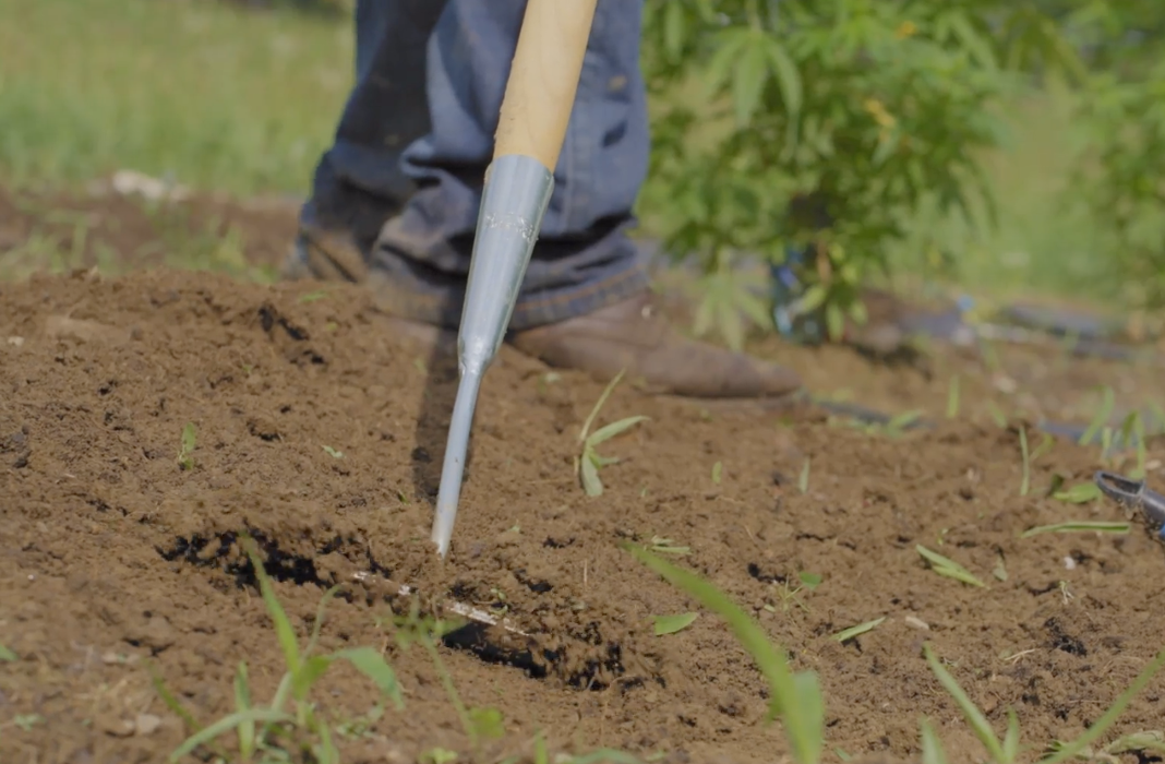 EOS Farms - Pittsfield, MA