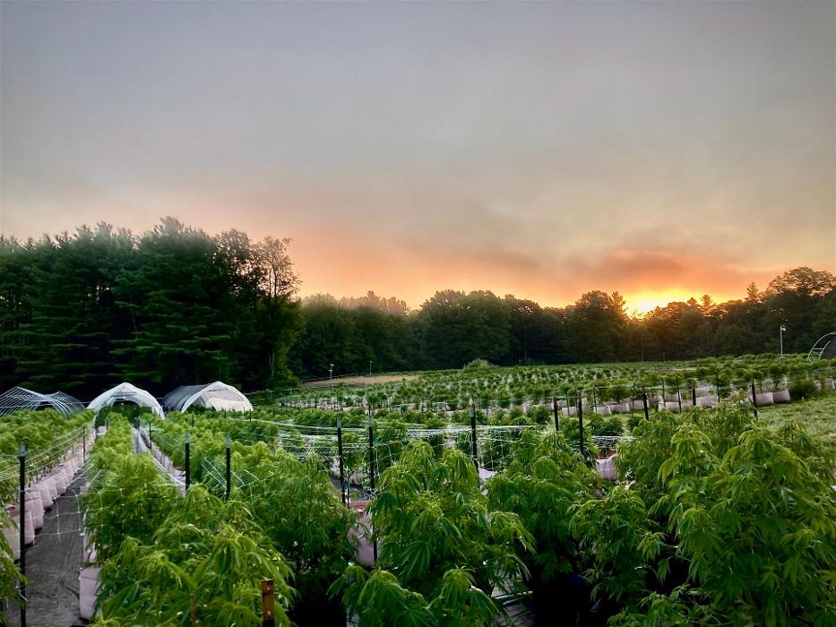 EOS Farms - Pittsfield, MA