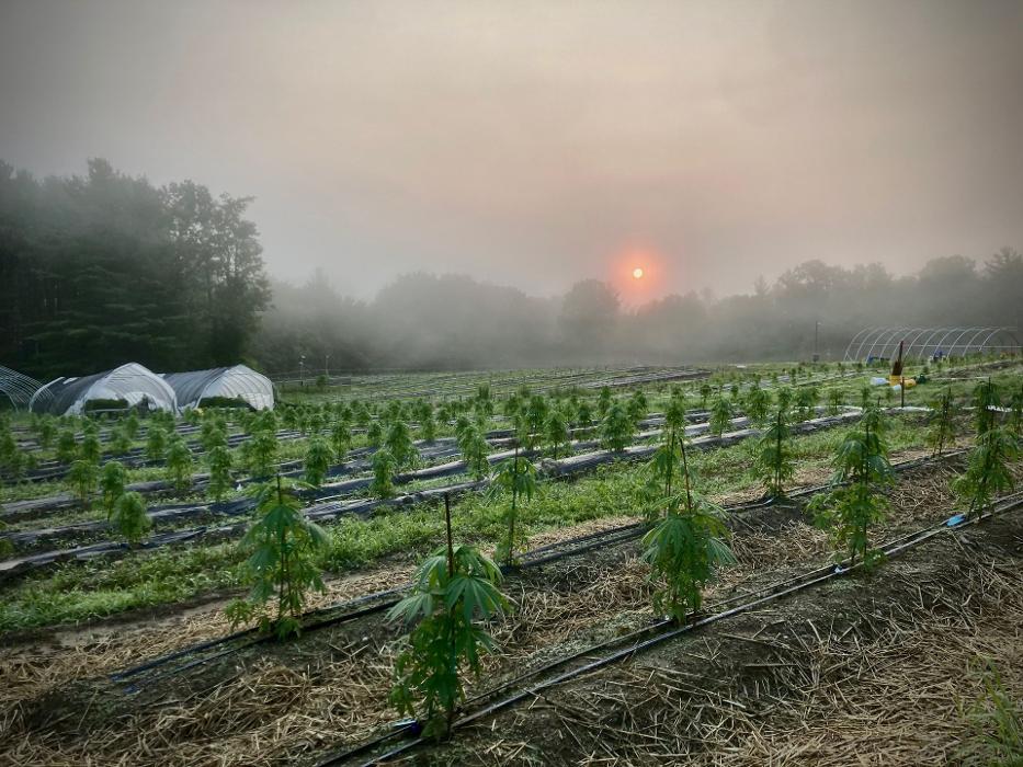 EOS Farms - Pittsfield, MA