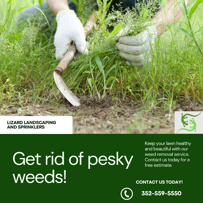 Lizard Landscaping & Sprinklers - Beverly Hills, FL