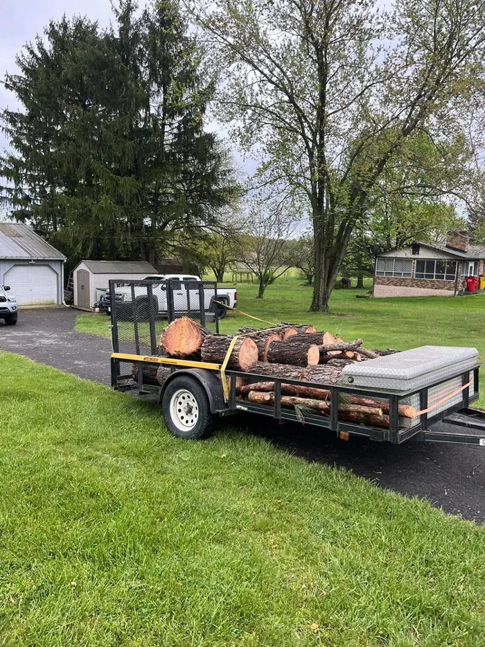 Scotts Tree Service - Winchester, VA