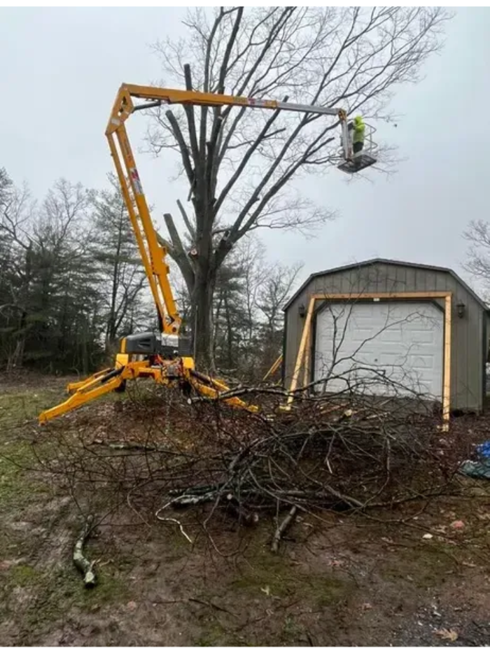 Scotts Tree Service - Winchester, VA