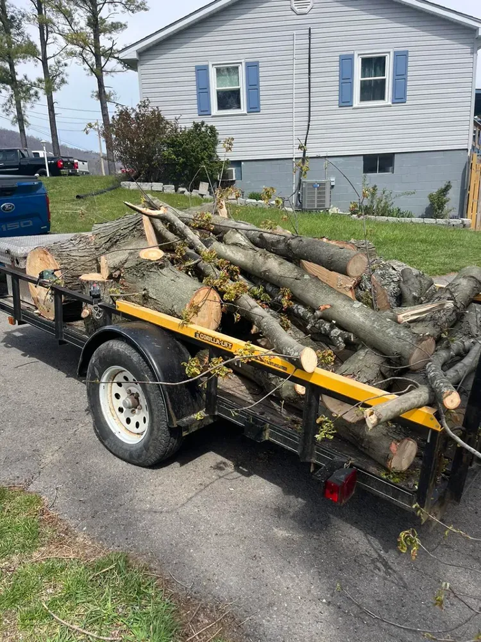 Scotts Tree Service - Winchester, VA