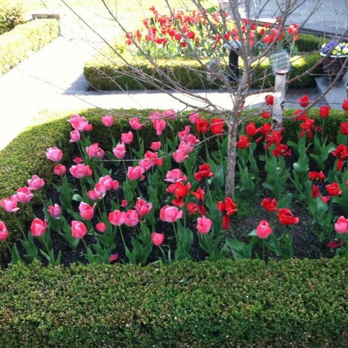 Green Garden Thumb - Trenton, NJ