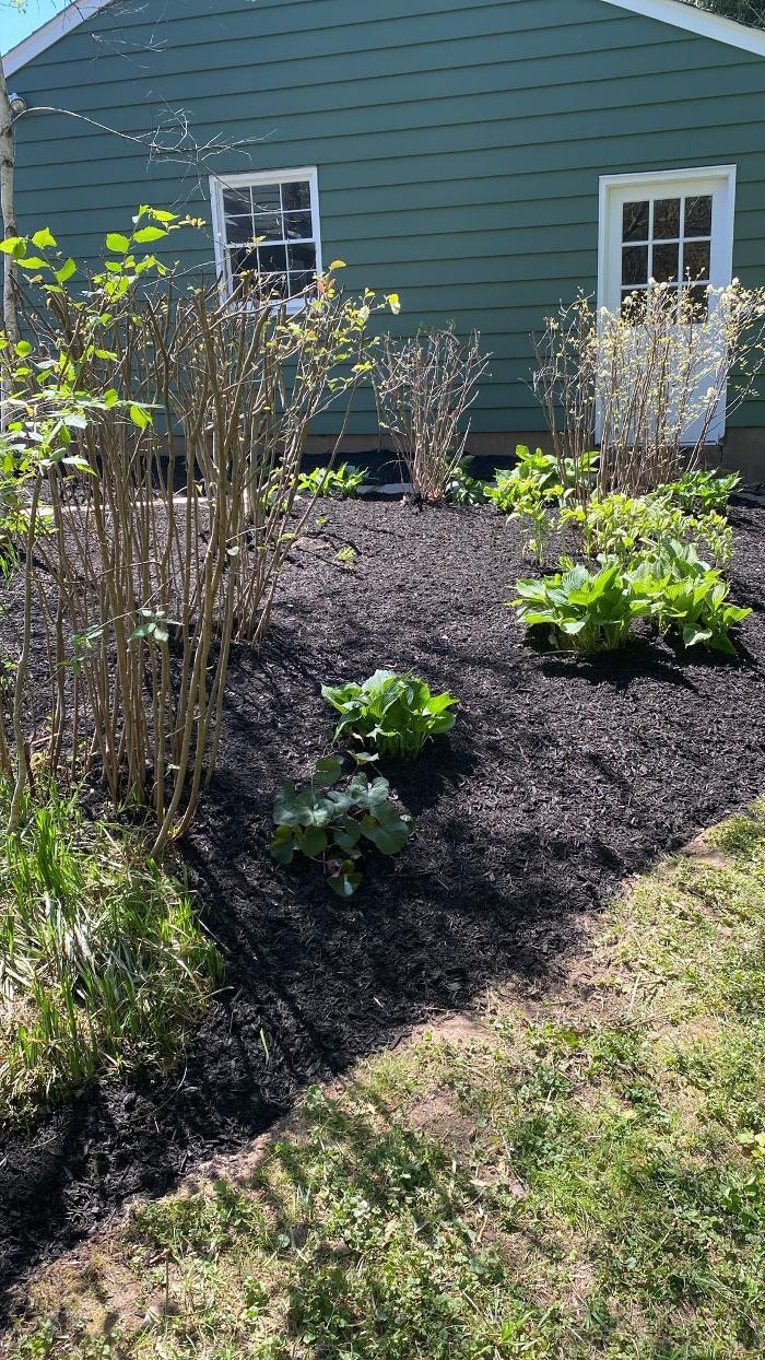 Green Garden Thumb - Trenton, NJ