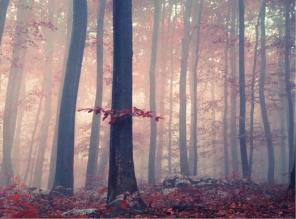 Bestattung Semriach, Windhofstraße in Windhof