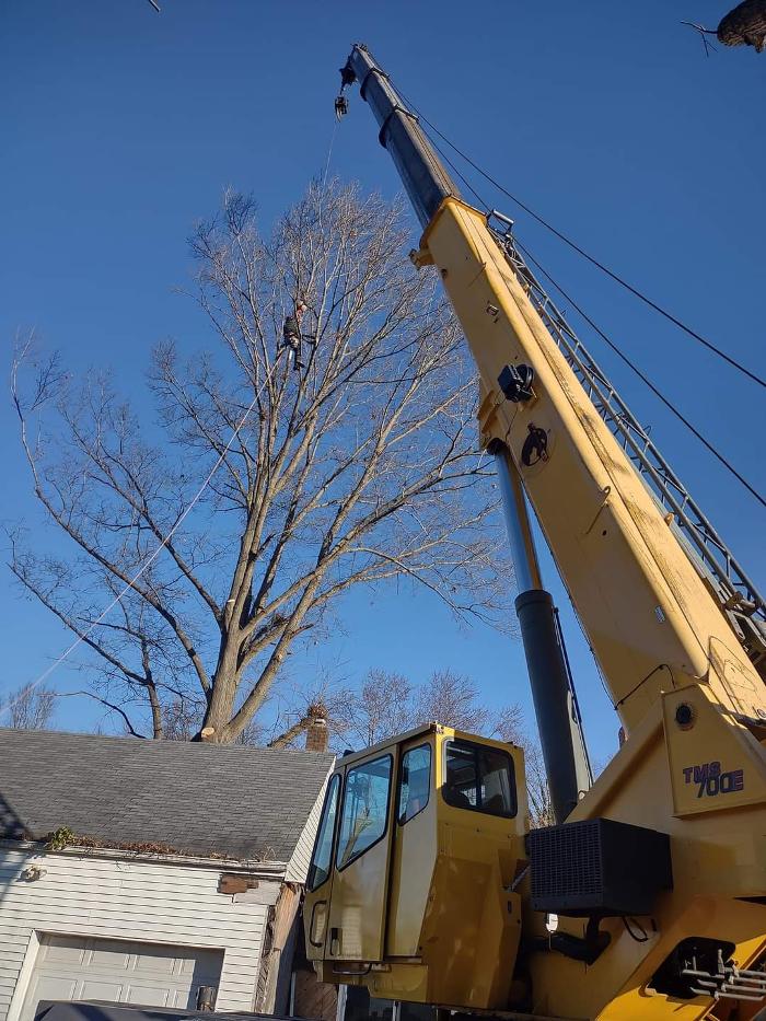 Limb -A-Way Tree Care - Richmond, IN