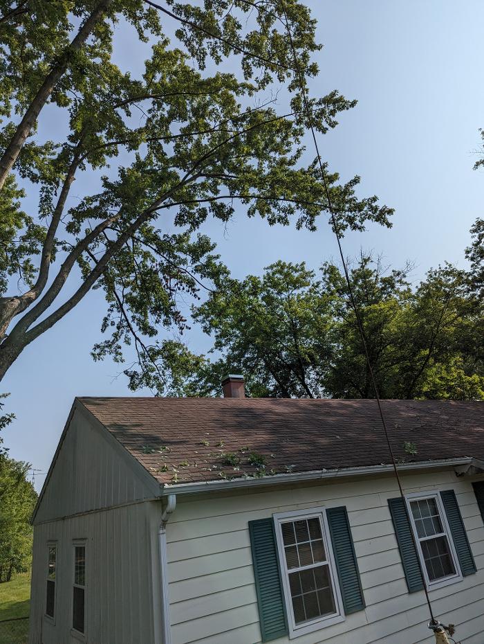 Limb -A-Way Tree Care - Richmond, IN