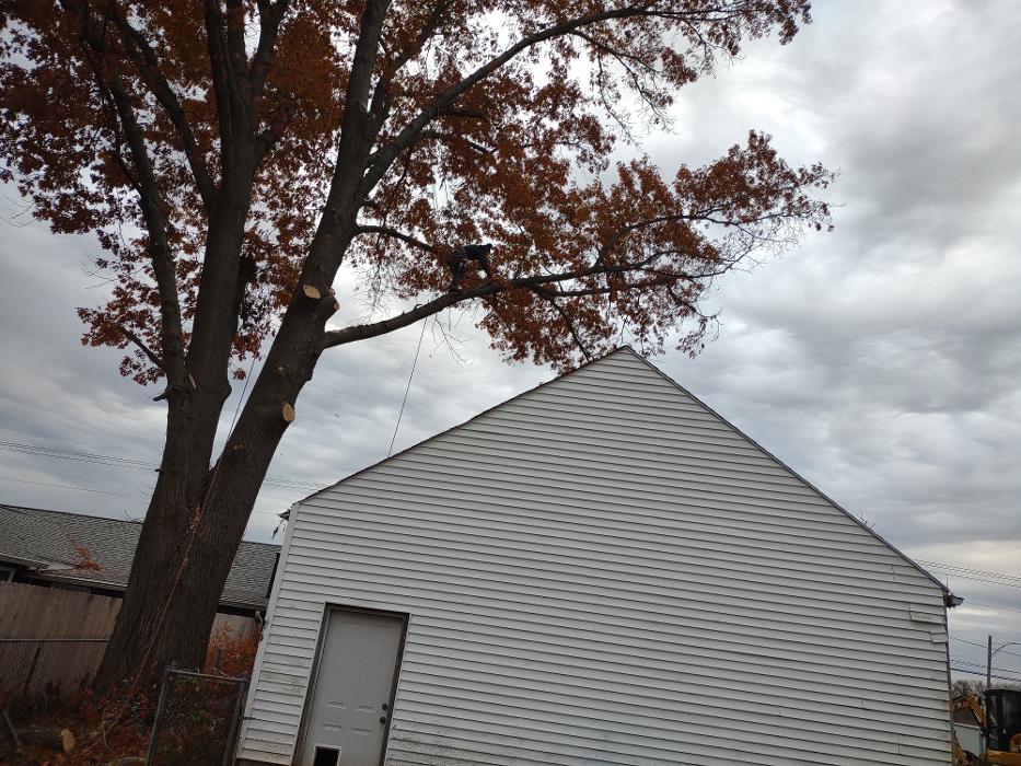 Limb -A-Way Tree Care - Richmond, IN