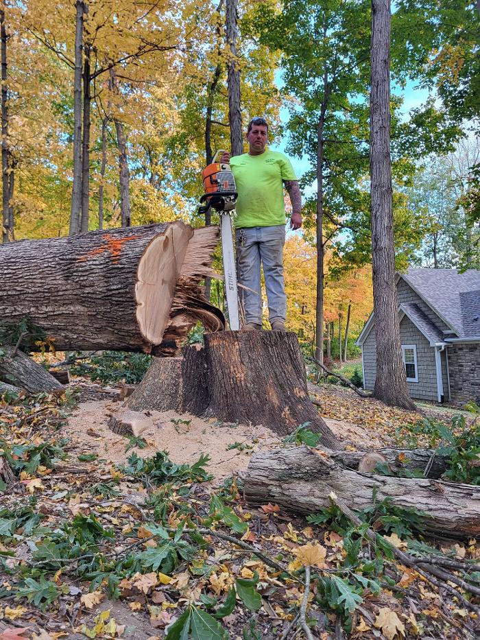 Limb -A-Way Tree Care - Richmond, IN