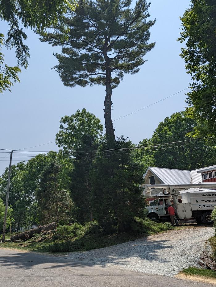 Limb -A-Way Tree Care - Richmond, IN