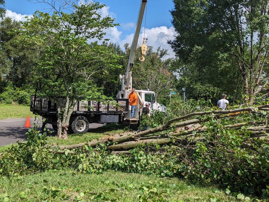 Limb -A-Way Tree Care - Richmond, IN