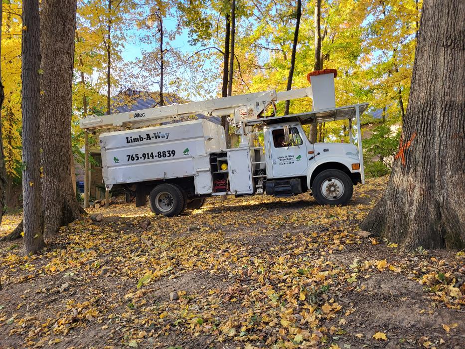 Limb -A-Way Tree Care - Richmond, IN
