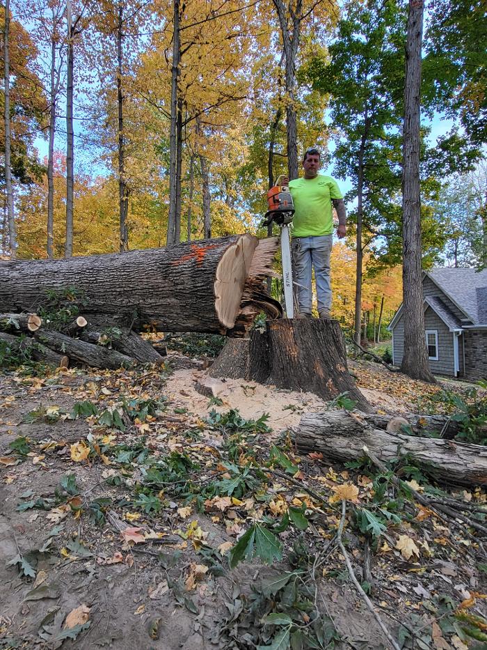 Limb -A-Way Tree Care - Richmond, IN
