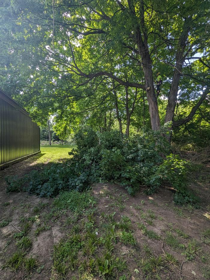 Limb -A-Way Tree Care - Richmond, IN