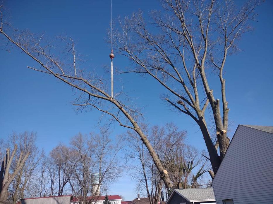 Limb -A-Way Tree Care - Richmond, IN