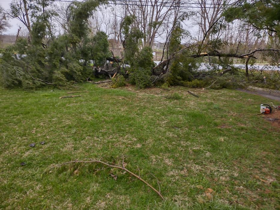 Limb -A-Way Tree Care - Richmond, IN