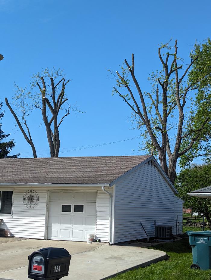 Limb -A-Way Tree Care - Richmond, IN