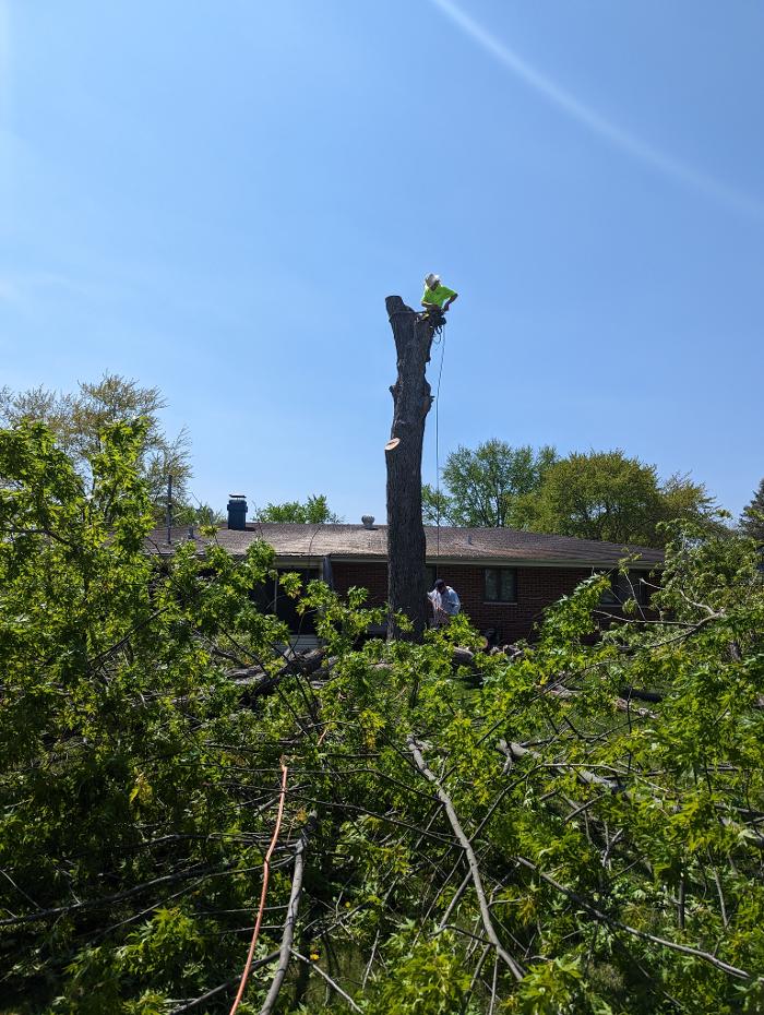 Limb -A-Way Tree Care - Richmond, IN