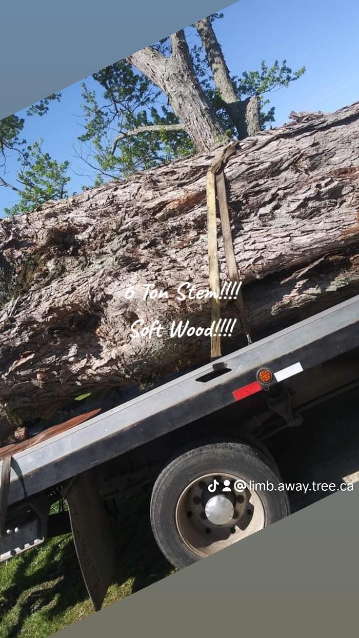 Limb -A-Way Tree Care - Richmond, IN