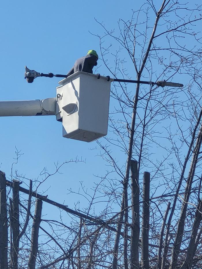 Limb -A-Way Tree Care - Richmond, IN