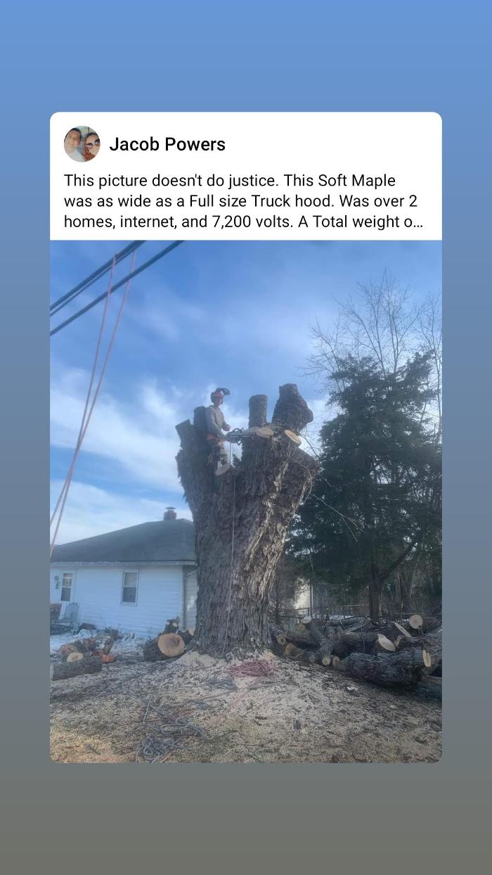 Limb -A-Way Tree Care - Richmond, IN