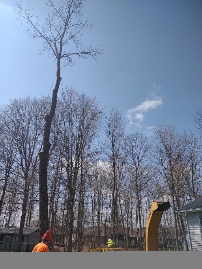 Limb -A-Way Tree Care - Richmond, IN