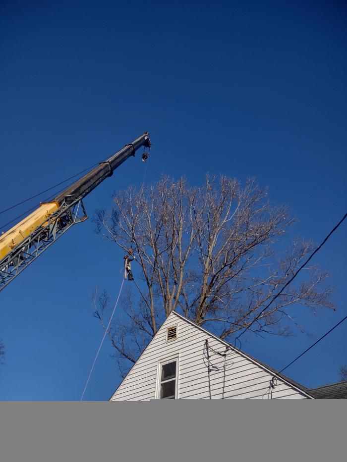Limb -A-Way Tree Care - Richmond, IN