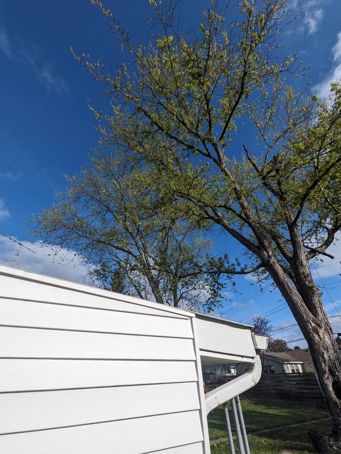 Limb -A-Way Tree Care - Richmond, IN