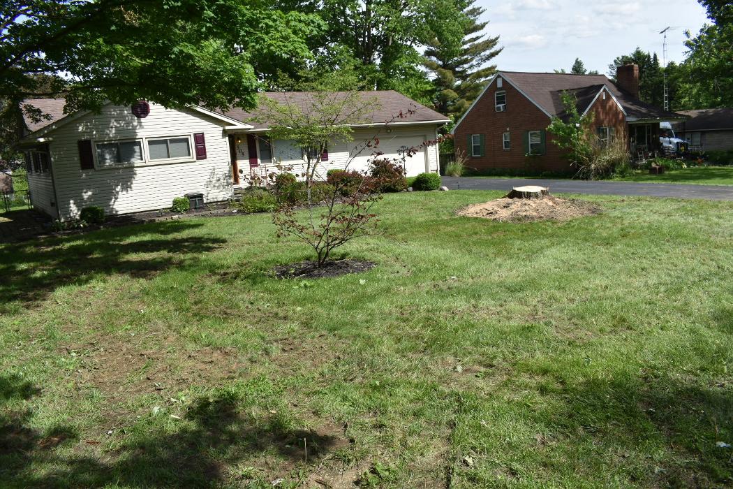 Limb -A-Way Tree Care - Richmond, IN