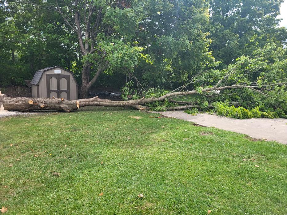 Limb -A-Way Tree Care - Richmond, IN