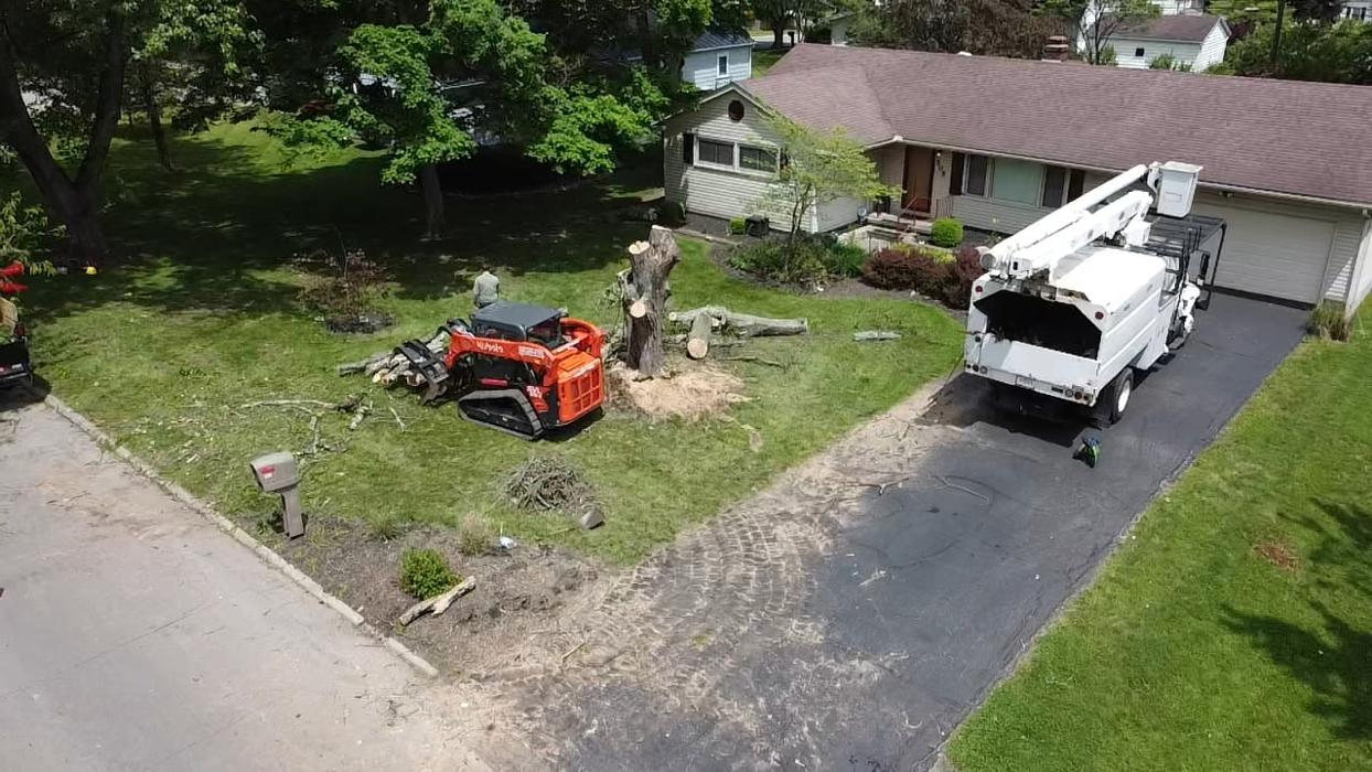 Limb -A-Way Tree Care - Richmond, IN