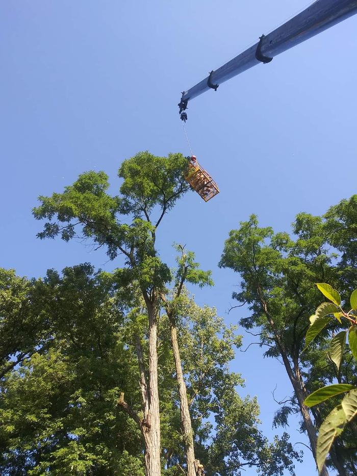 Limb -A-Way Tree Care - Richmond, IN