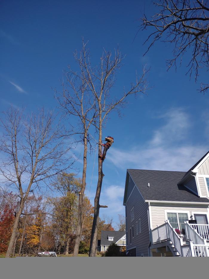Limb -A-Way Tree Care - Richmond, IN