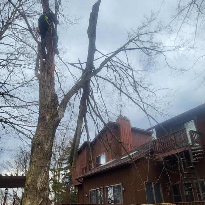 Limb -A-Way Tree Care - Richmond, IN