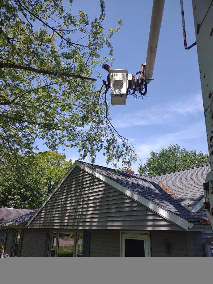 Limb -A-Way Tree Care - Richmond, IN