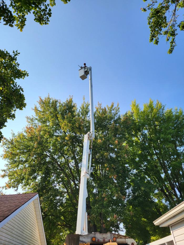 Limb -A-Way Tree Care - Richmond, IN
