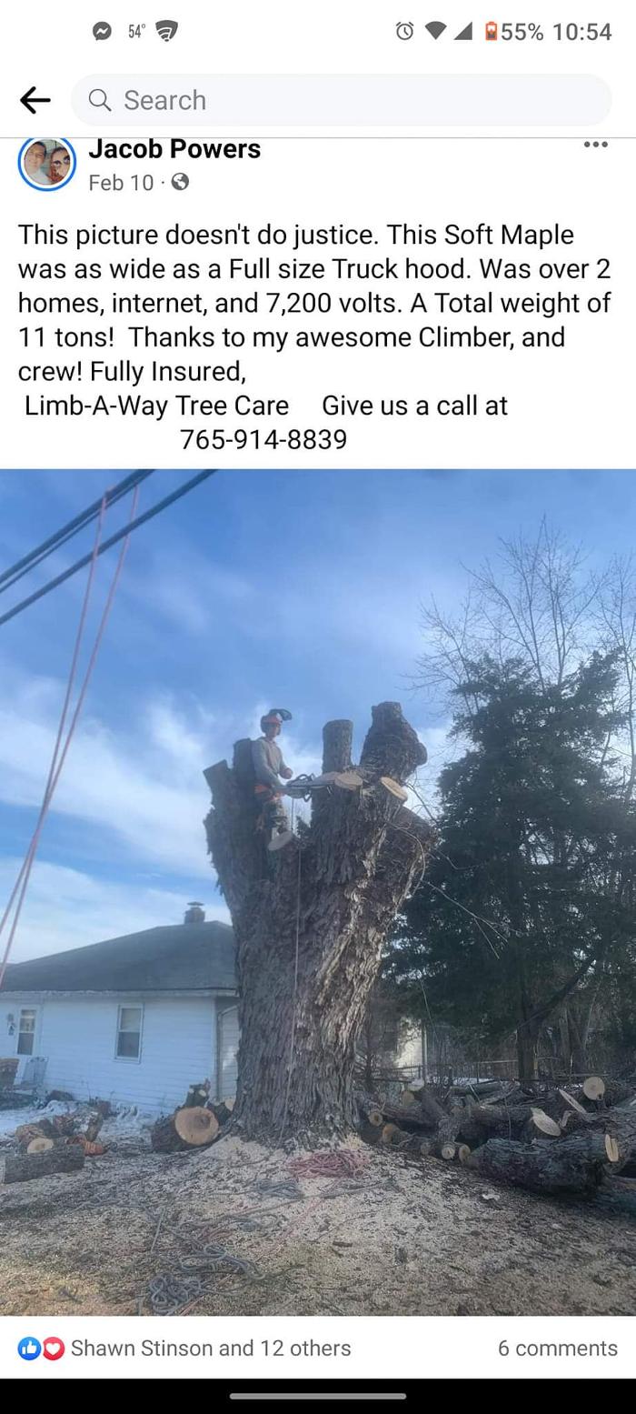 Limb -A-Way Tree Care - Richmond, IN