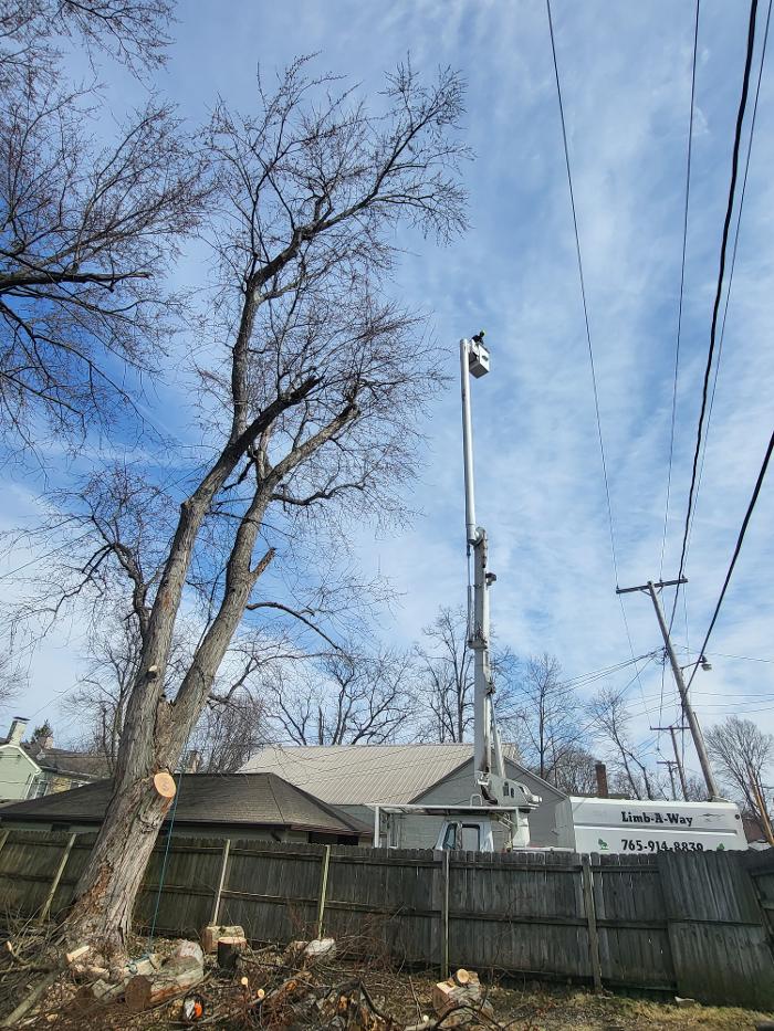 Limb -A-Way Tree Care - Richmond, IN