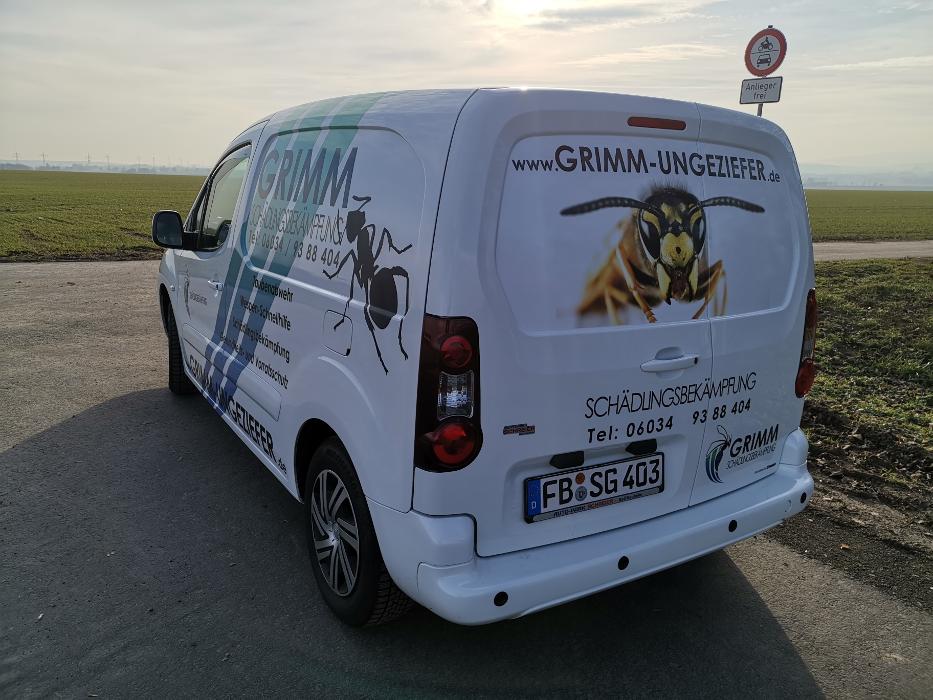 Schädlingsbekämpfung Grimm in Florstadt