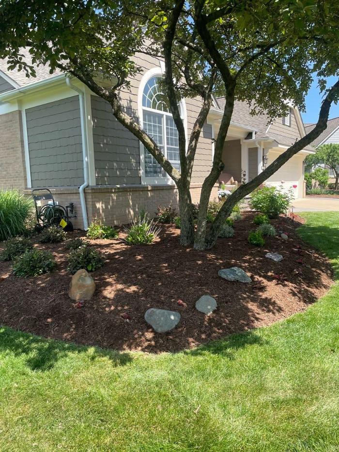 Ellis Tree & Outdoor Services LLC - Culpeper, VA