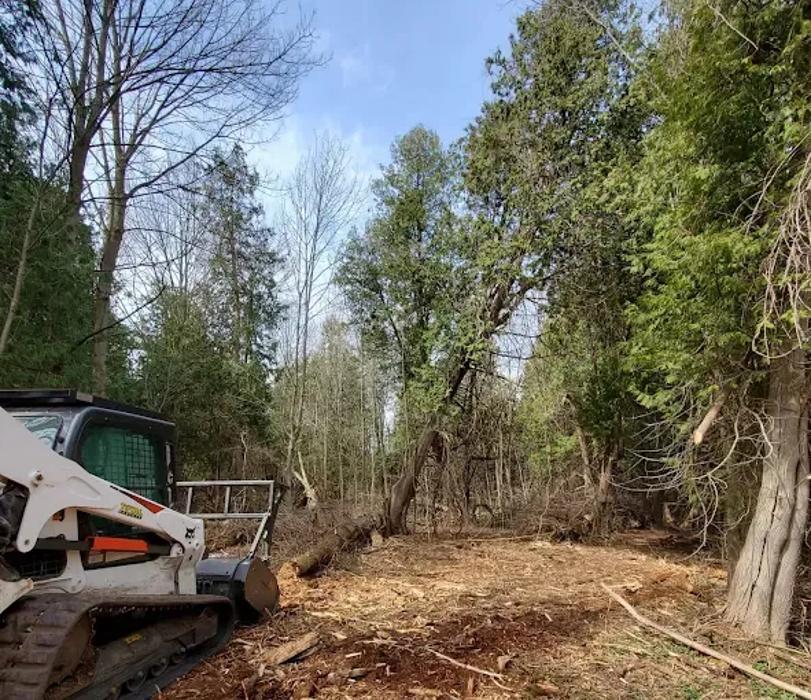 Ellis Tree & Outdoor Services LLC - Culpeper, VA