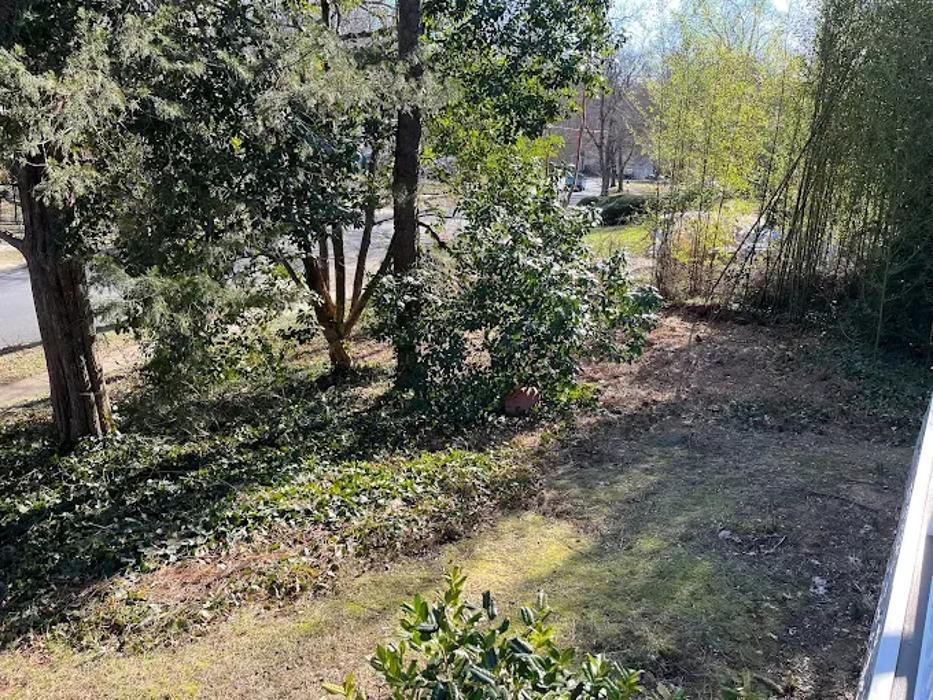 Ellis Tree & Outdoor Services LLC - Culpeper, VA