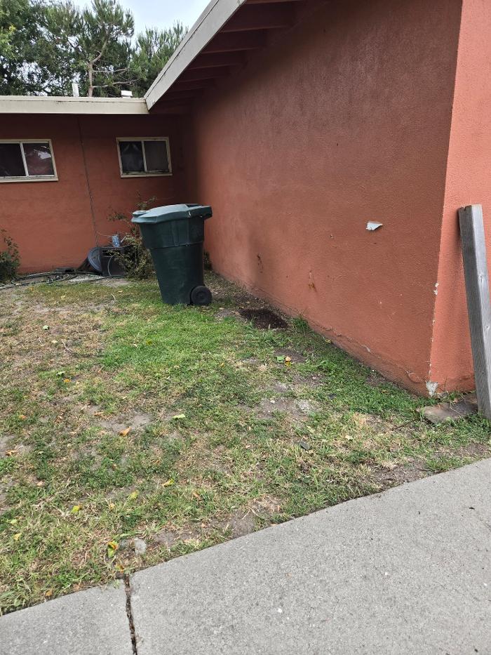 Junk Junkies - Santa Barbara, CA