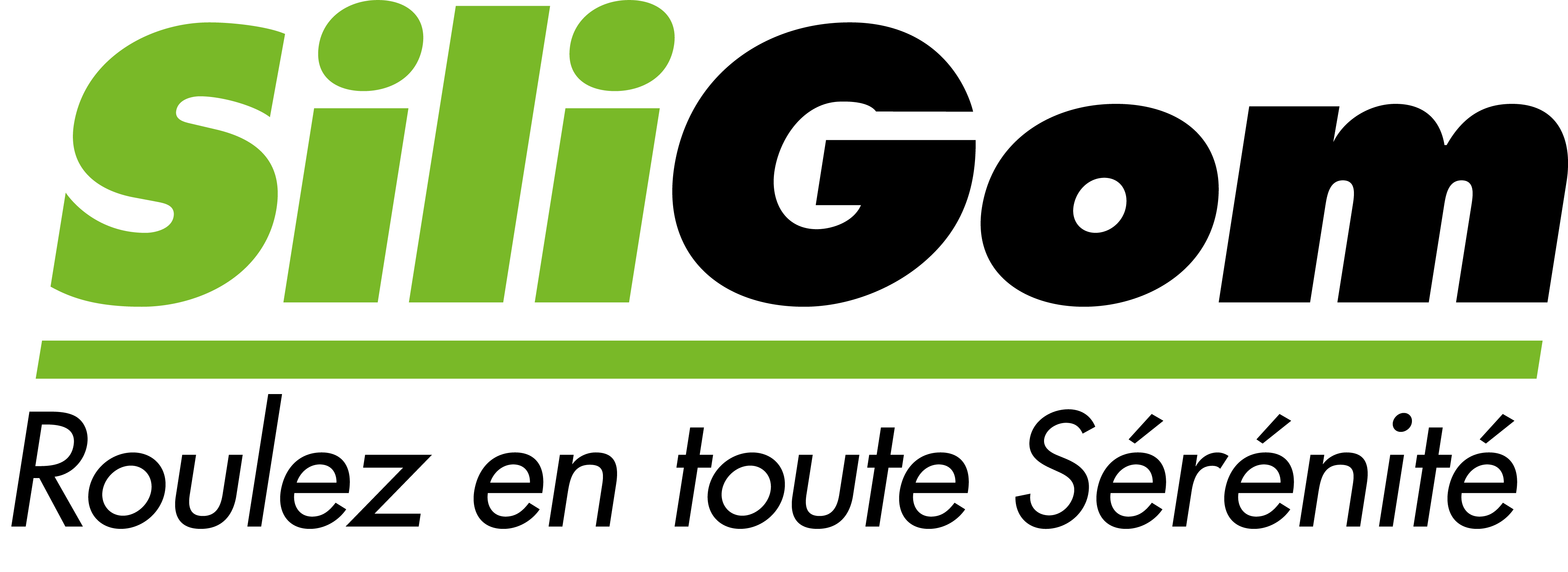 SILIGOM EUSKO